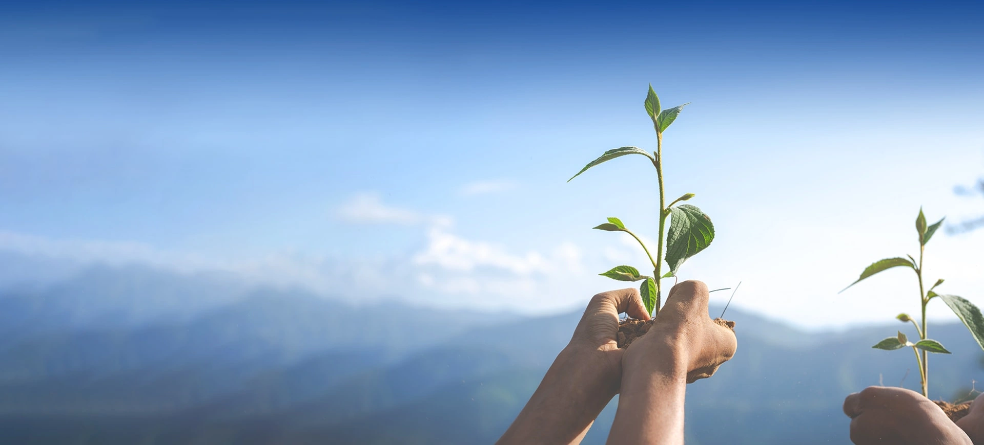 УСТОЙЧИВОЕ РАЗВИТИЕ